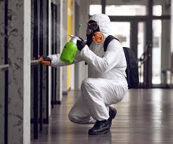 Environmental Consulting for Mold Prevention in Jefferson, OR